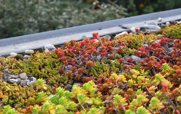 the cost of Studley green roof installation