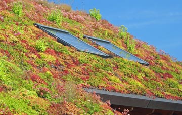 Studley living roof systems
