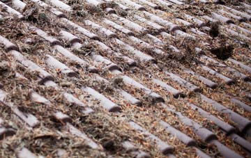 Studley roof cleaning companies