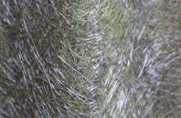 Studley fibreglass roof work